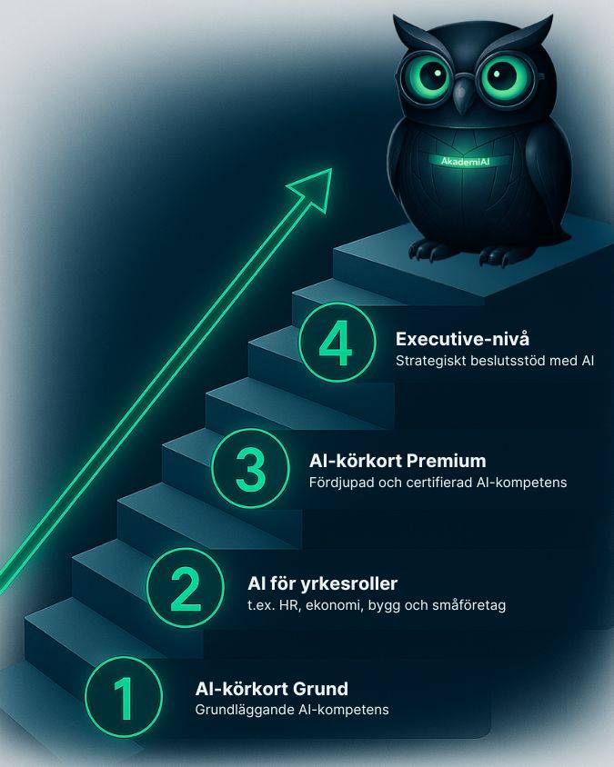 AI-utbildningsmodell-4-nivaer.